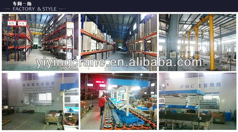 Digital 5ton Electric Weight High Quality Low Price New Model Scale Crane with Hook