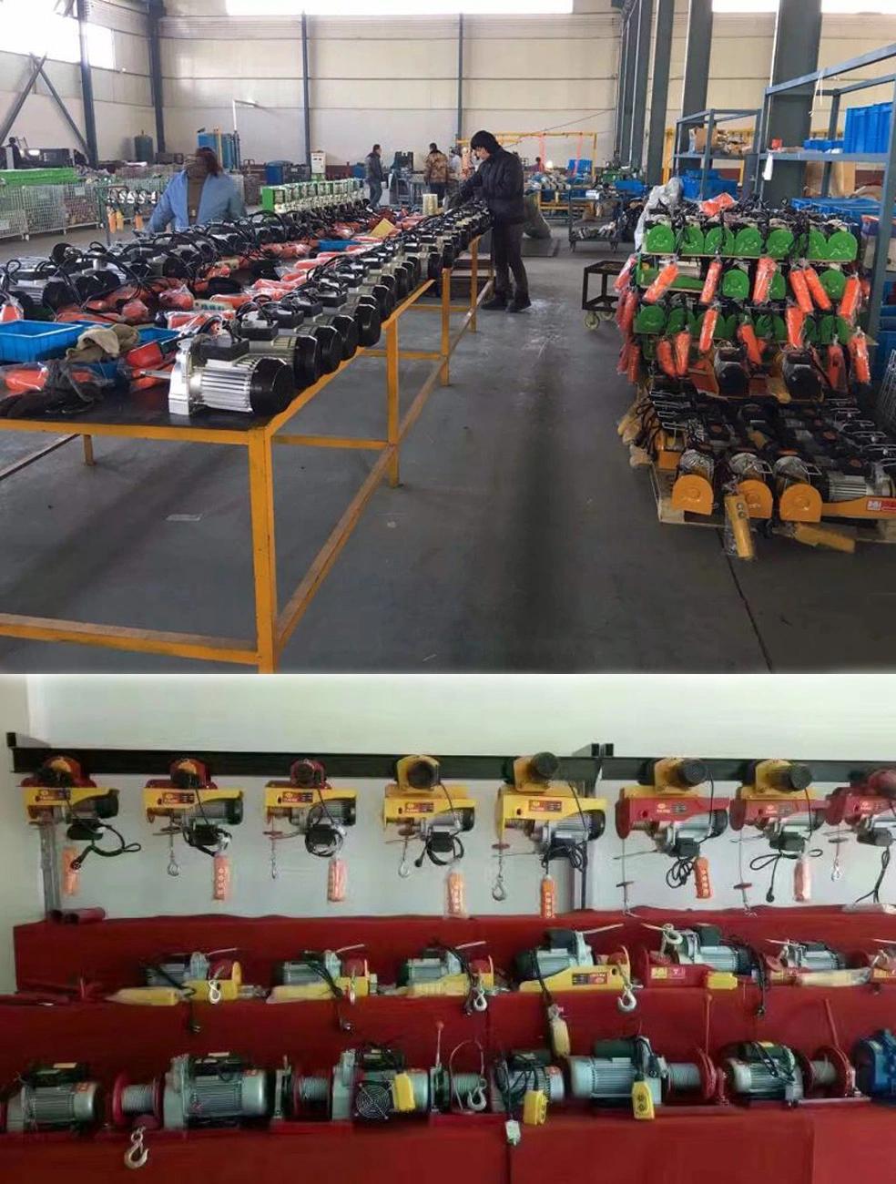 Single Phase 220V PA 200kg Mini Electric Wire Rope Hoist