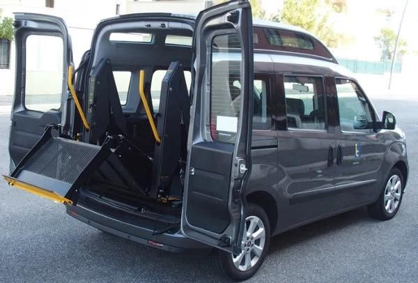 Wl-Dn-880s-1150 Wheelchair Lift for Back Door of Van