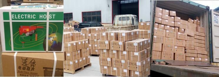 500kg 1000kg PA Mini Small Electric Wire Rope Winch Hoist
