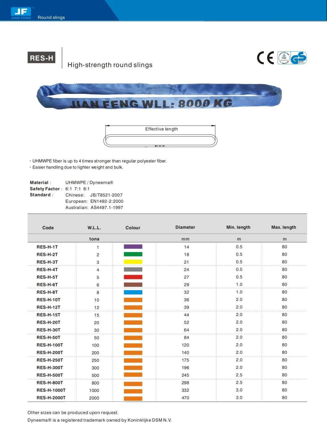 Synthetic Slings High-Strength Round Sling Fibre Round Sling for Marine and Offshore GS CE Dnv