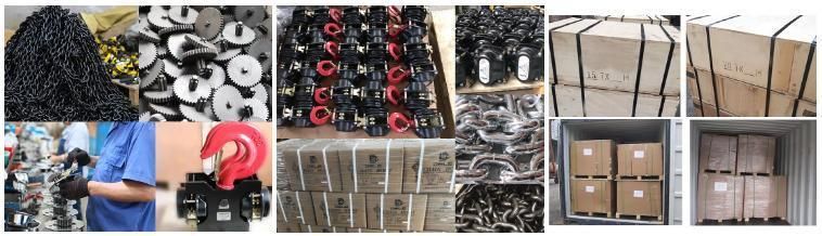 China Manufacturer Lifting Accessories Pull Lift Manual Chain Hoist
