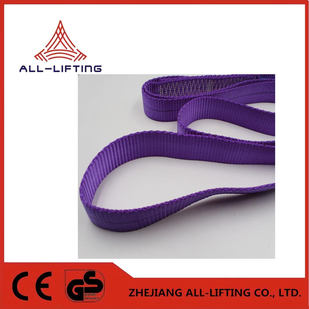 One Way Single Ply Endless Polyester Flat Webbing Sling