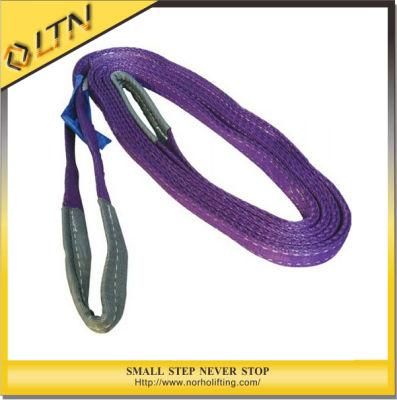 Low Price Professional Flat Webbing Sling (NHWS-B)