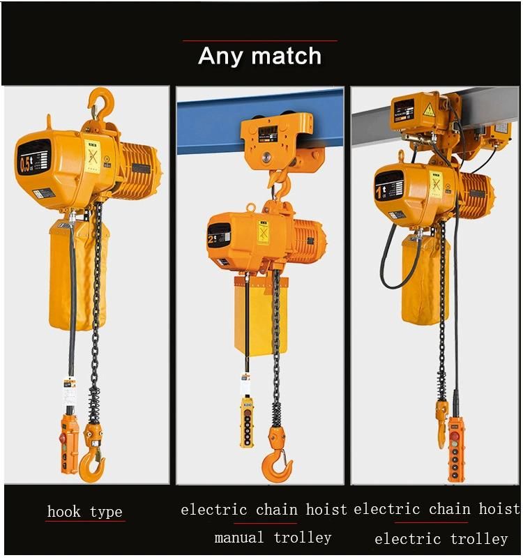 Electric Chain Hoist 0.25t 1t Mini Chain Block for Sale