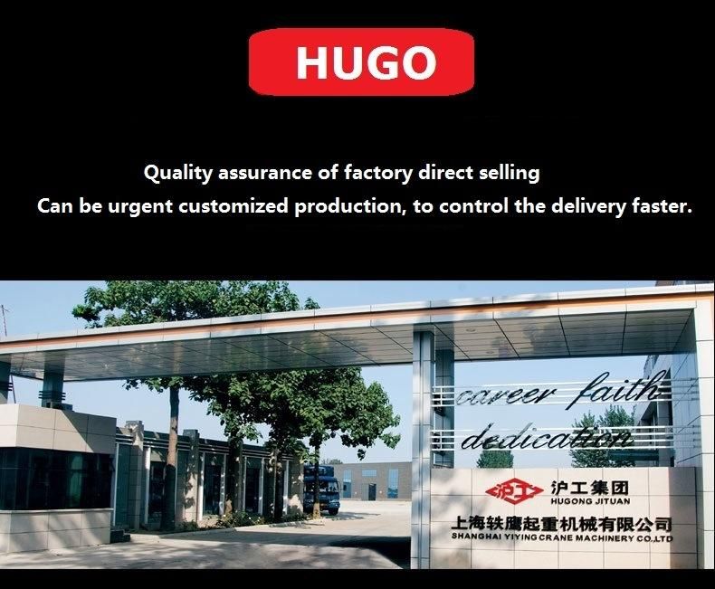 G80 Chain Lift Hoist, 3t 5t 3m, Made in China