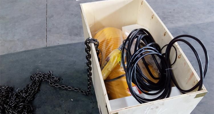 Hot Sale 200kg 500kg Mini Electric Wire Rope Hoist