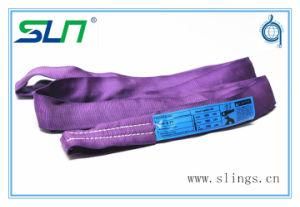 2018 100% Polyester Lifting Belt Ce GS Certificated Endless Round Sling