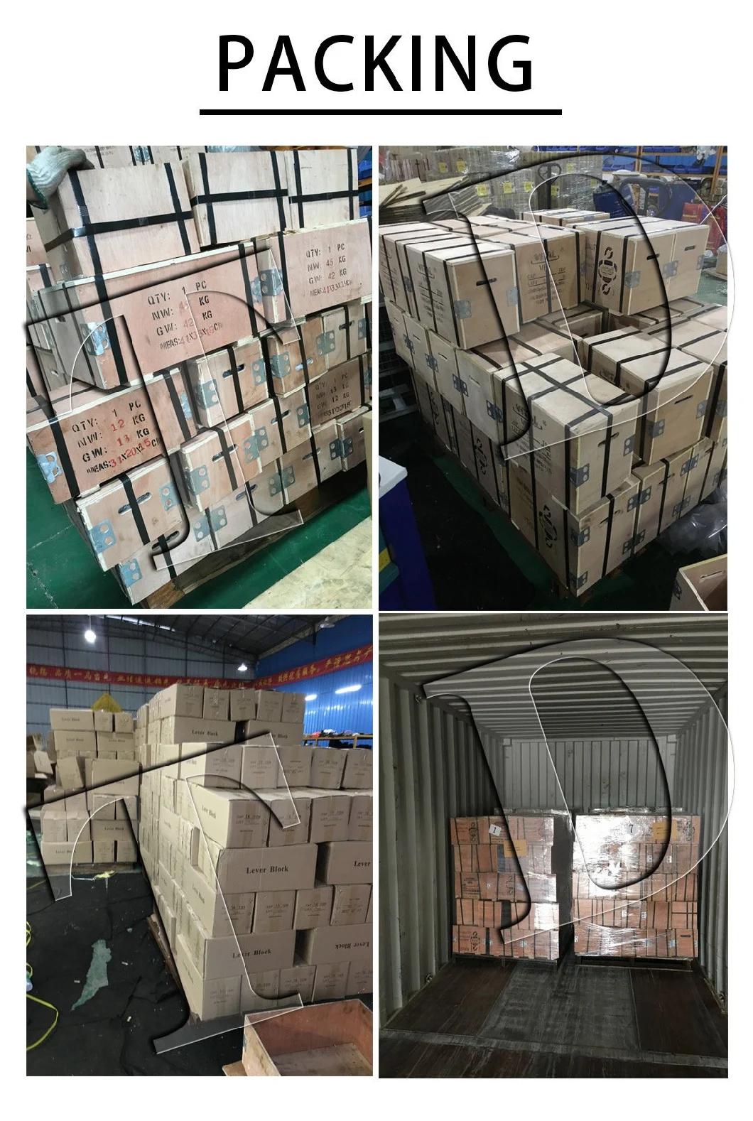 Tojo Type Chain Hoist Lifting Machine Top Quality Chain Block