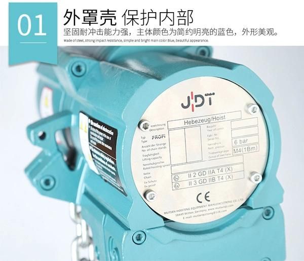 30 Ton Explosion-Proof Pneumatic Hoist/Air Hoist Best Price