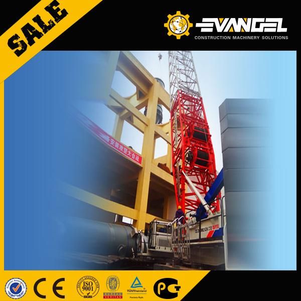Zoomlion Mini Telescopic Boom Crawler Crane