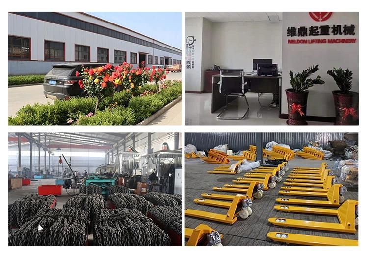Best Price Manufacturer Price Manual Hoist with G80 Chains