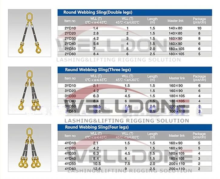 Synthetic Bridle Sling 2-Leg Lifting with Safety Factor 5: 1