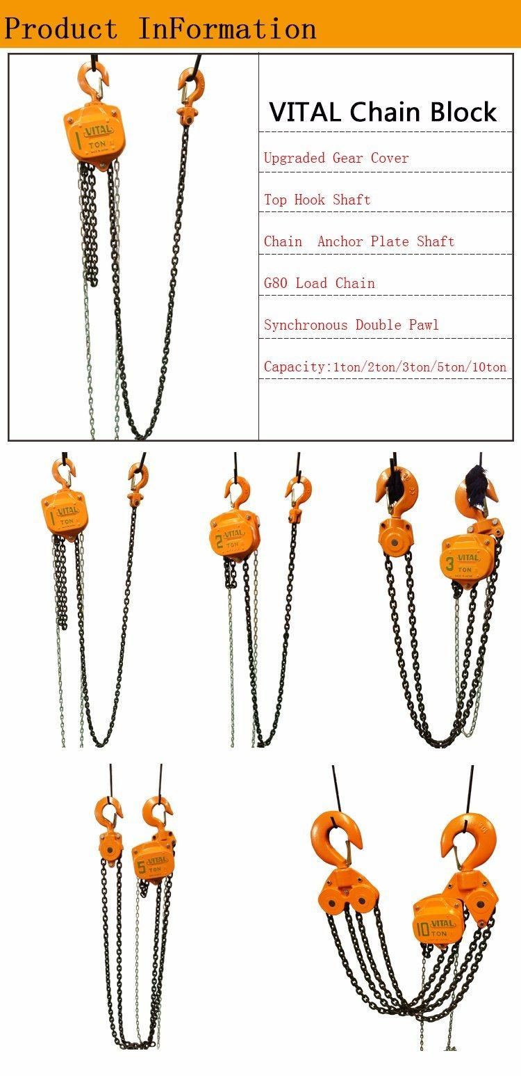 1 Ton Manual Chain Hoist Building Hoist as 3 Meters