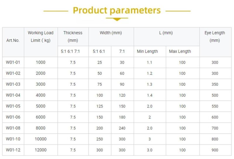 OEM or Customized Wll 3t Polyester Round Sling