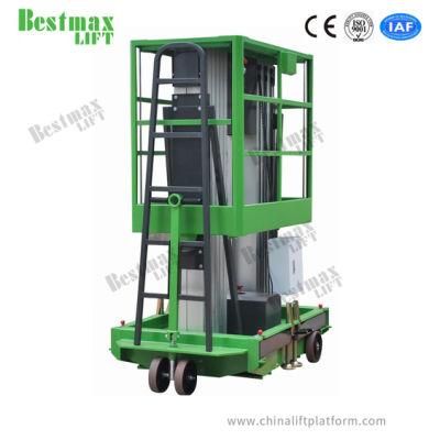 9m Platform Height Dual Mast Vertical Lift